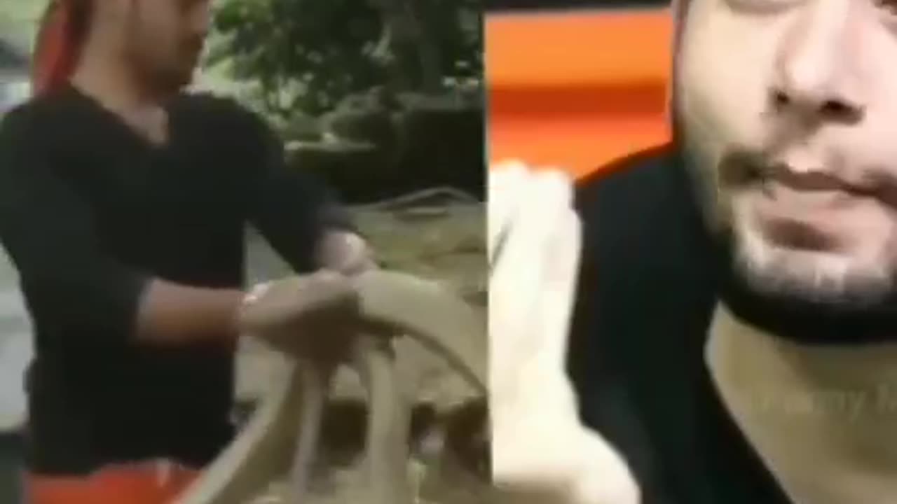 The funny 🤣🤣 Video For Animal