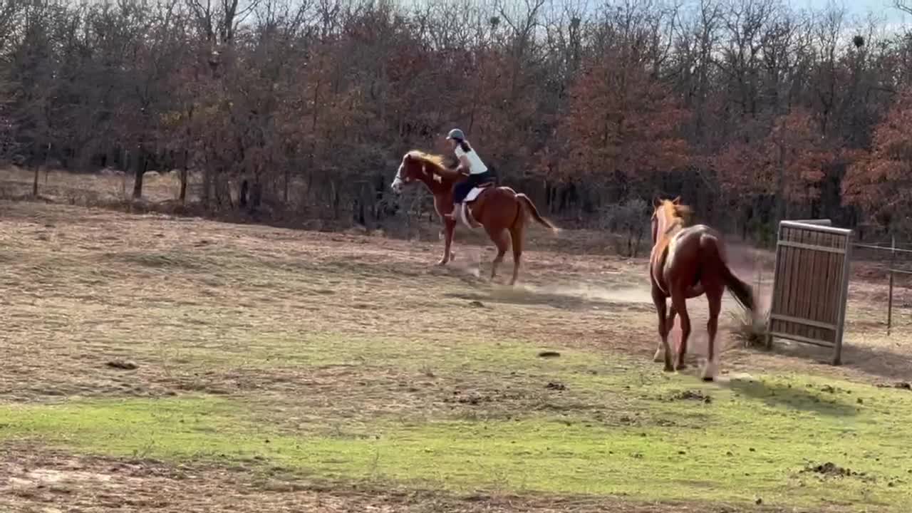 My first video!!! Of me riding my horse!!!