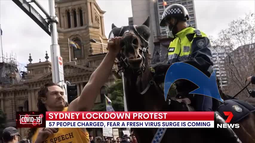 Horse guy Sydney protest - all video angles