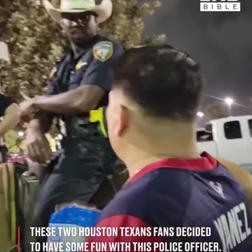 'Is it okay to pet it?'