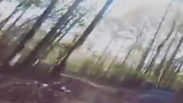 Pov blue helmet run into tree