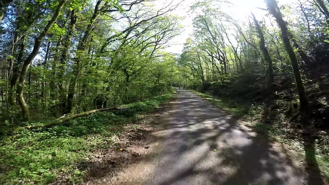 Dartmoor Cycle Ride Plym Bridge Devon part 2 Ocean City GoPro