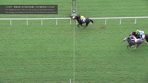 Horse_Race_2022061206_Chinese