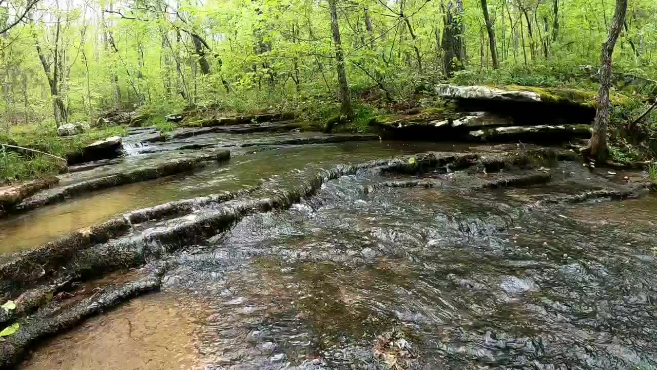 Ozark Creek - Arkansas