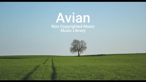 FREE FOR ALL MUSIC DOWNLOAD - Avian (Non Copyrighted Music)