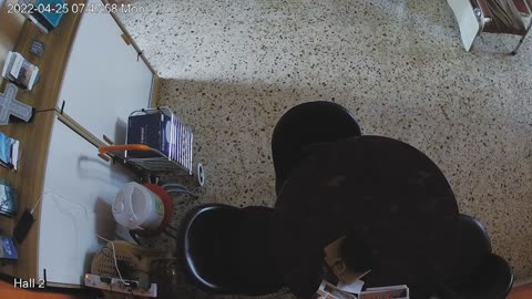 hallmid midnight 20220425