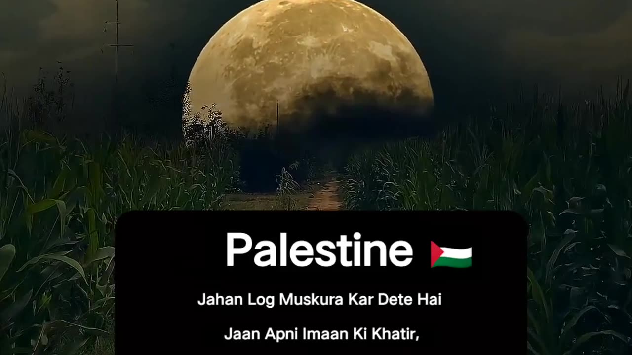 Standing with Palestine 🇵🇸 ❤️