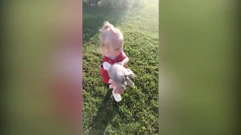 Funny Cats And Babies Playing