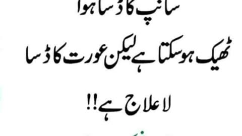 Most beautiful urdu Quotes