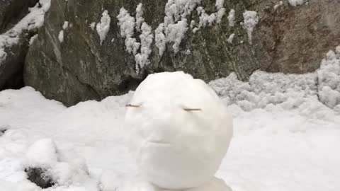 a cute snowman