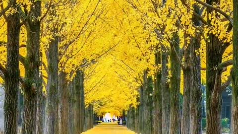 After waiting for a year, the four seasons of spring, summer, autumn and winter were photographed