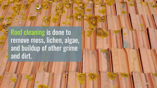 Roof Cleaning West Palm Beach 1-(561) 508-8747 | prestigecleanservice.com