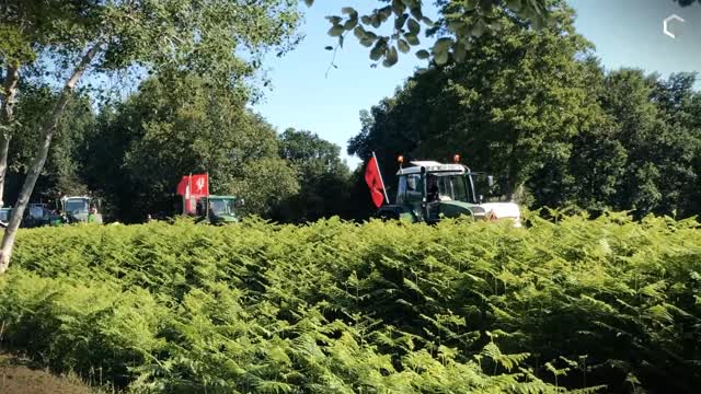 Terugblik: hoogtepunten van het massale boerenprotest in Stroe!