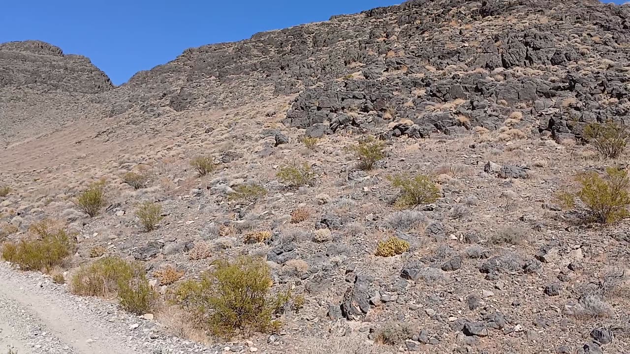 Hiking - Shadow Mountain, Pahrump, NV 89060 - 20240819T152915