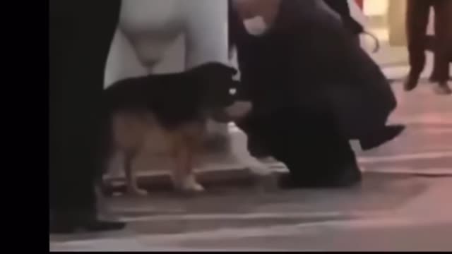 Man save stray dog from thirst