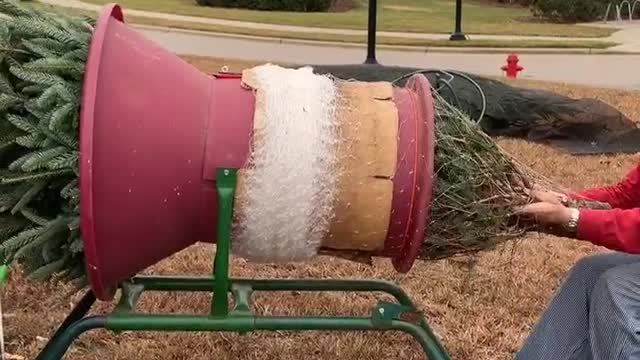 Net a xmas tree
