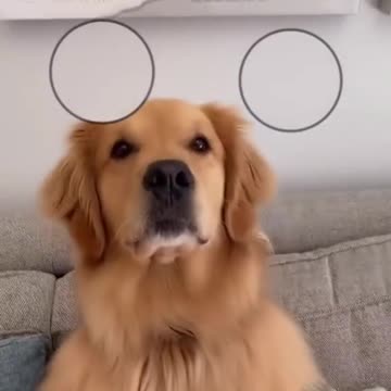 She had to jump on this trend👀