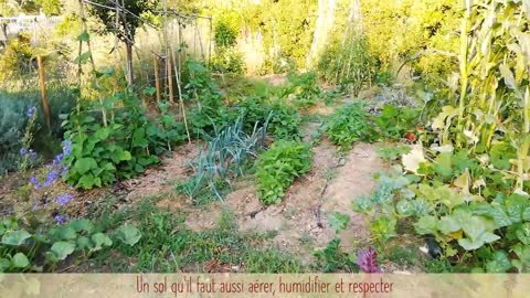 Tuto jardin - Le printemps au potager