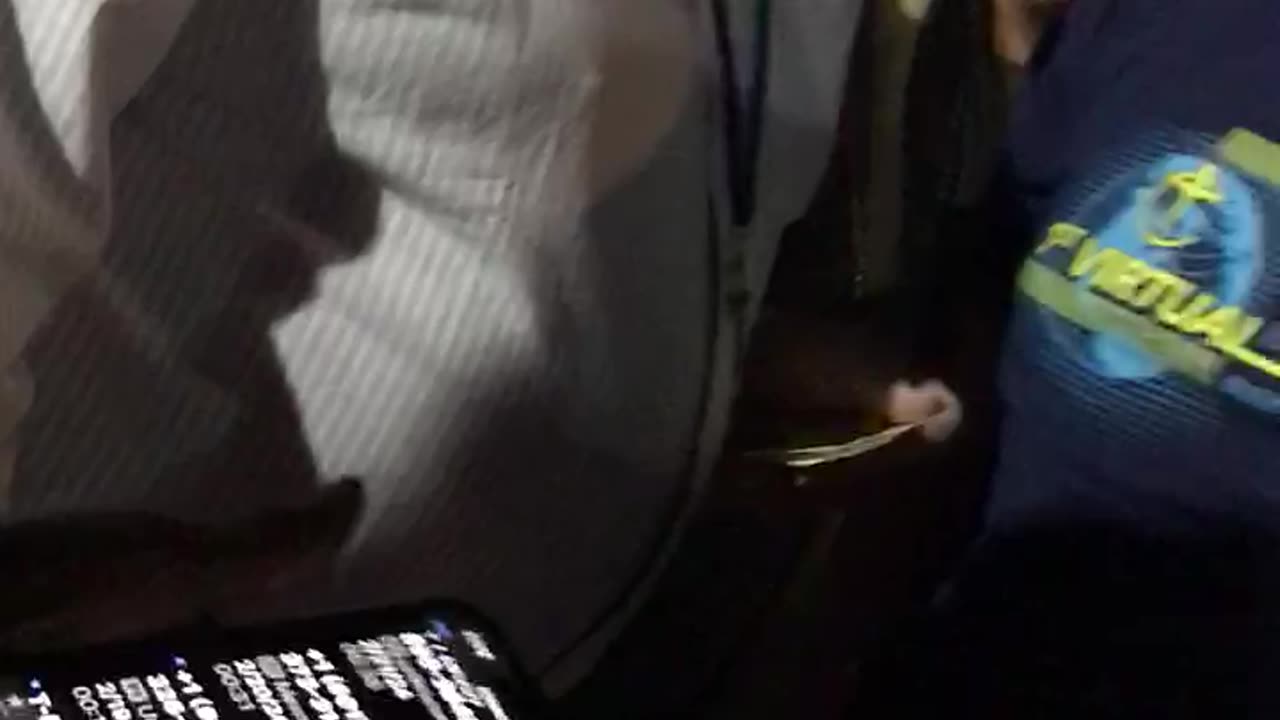 Initial Comment by Me as a Witness of Hit and Run