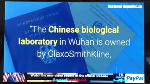 “大流行的起因_Wuhan武漢肺炎影響全世界！其背後的資金與權力關係圖”～