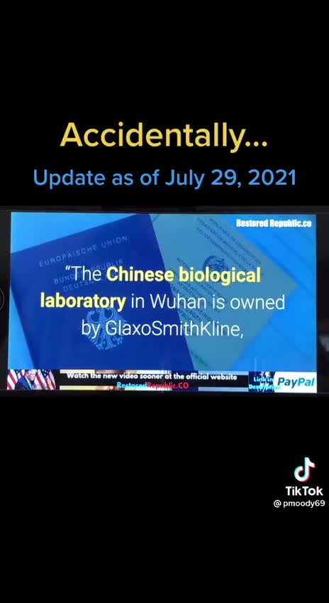 “大流行的起因_Wuhan武漢肺炎影響全世界！其背後的資金與權力關係圖”～