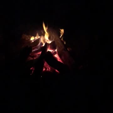 The Lion Sleeps Tonight- Open Class Room Camp Out