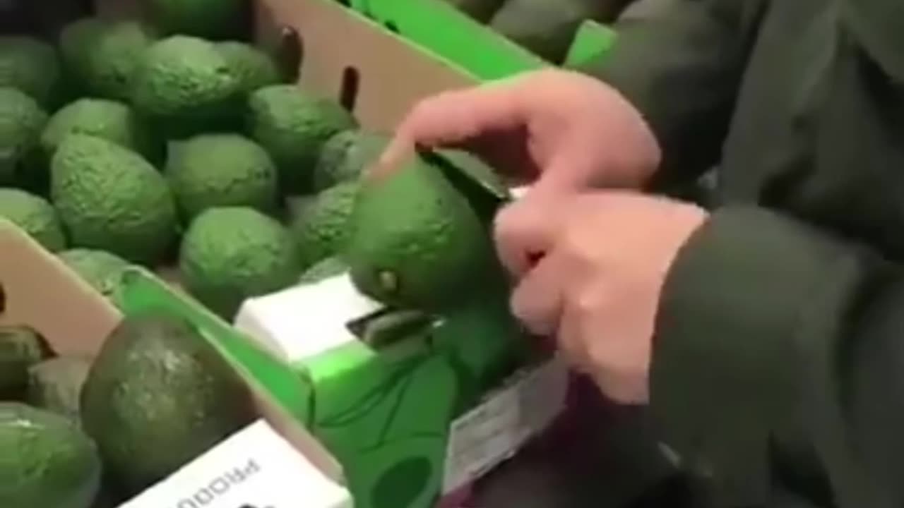 Avocados testing positive for cocaine 🥑