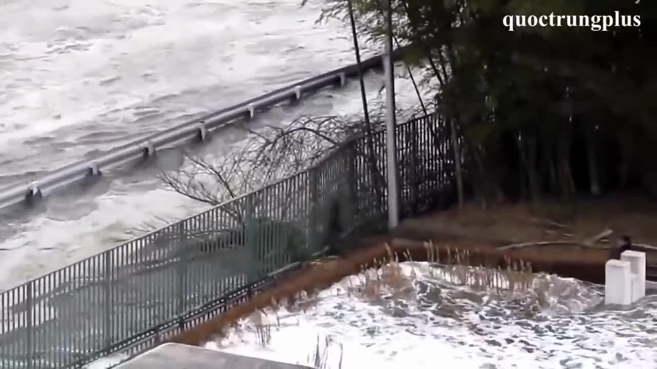 Tsunami Caught On Camera in Japan