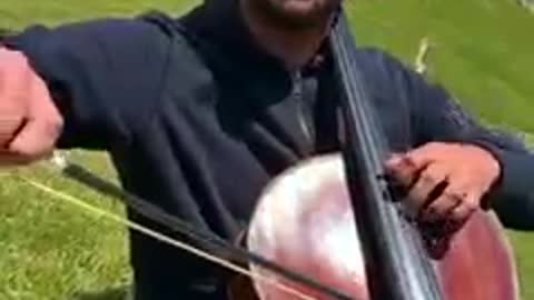 Hauser