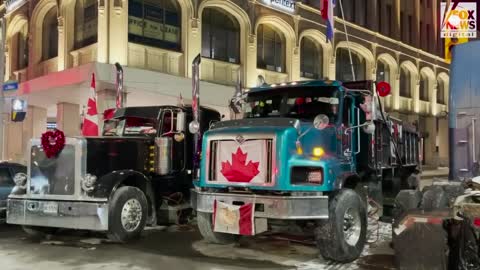 Canadian truckers react to easing COVID-19 restrictions-NEWS OF WORLD