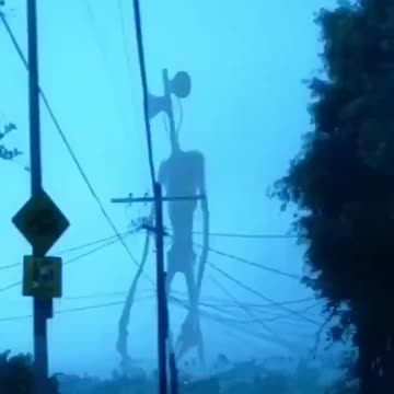 Sirenhead Caramel Dansen