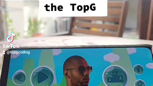 I made new topG game