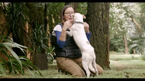 Excited mixed breed mutt dog licking the face of her happy