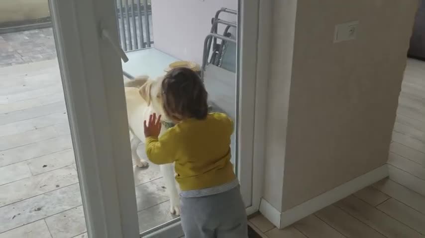 Cute Babies Playing With Labrador Dog - Baby Love Funniest Home Videos