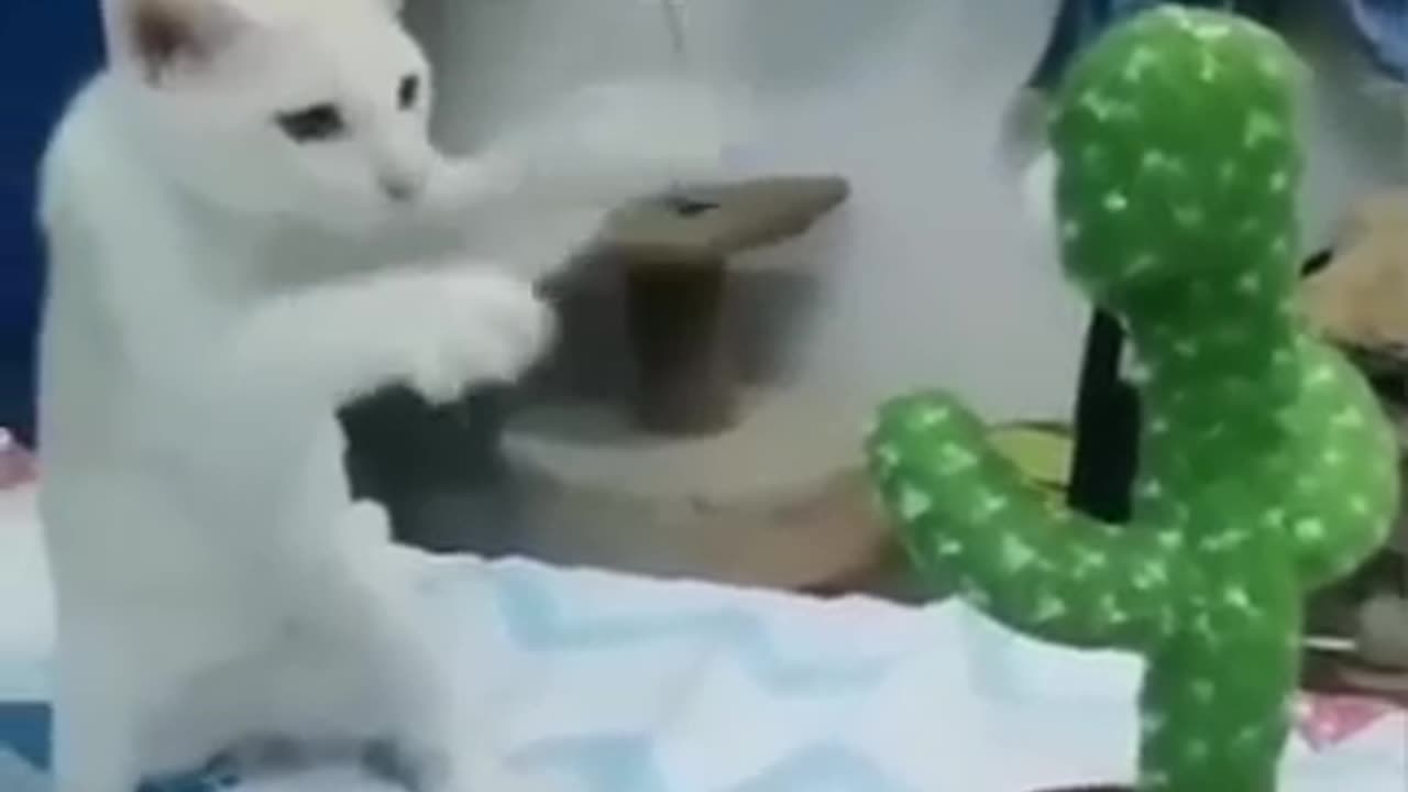 Hahaha can't control my laughing so funny