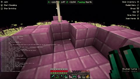 The Hunt for Elytra, Part 2!