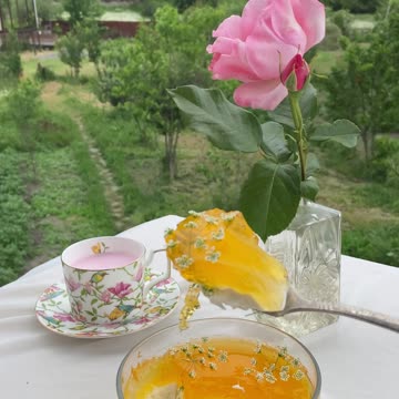 Fresh Flowers Nature Video