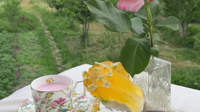 Fresh Flowers Nature Video