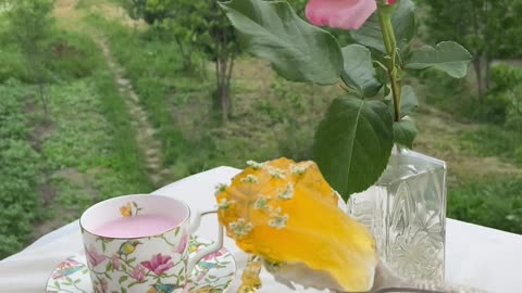 Fresh Flowers Nature Video