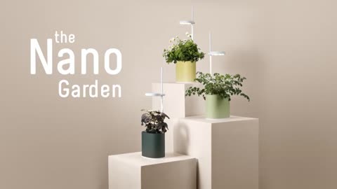 https://nano-garden-from-seed-to-plant.kckb.st/64e78e3a