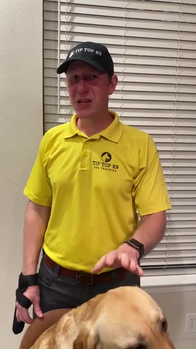 WHY AMERICA NEEDS TO GET BACK TO WORK | Stories from ACTUAL BUSINESS OWNERS : Dog Trainer