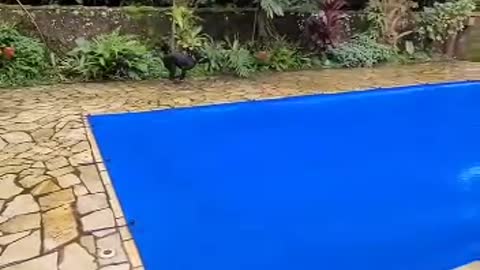 When you discover that in a swimming pool