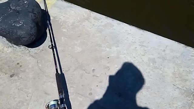fishing 2