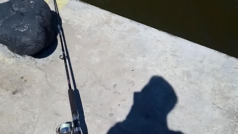 fishing 2