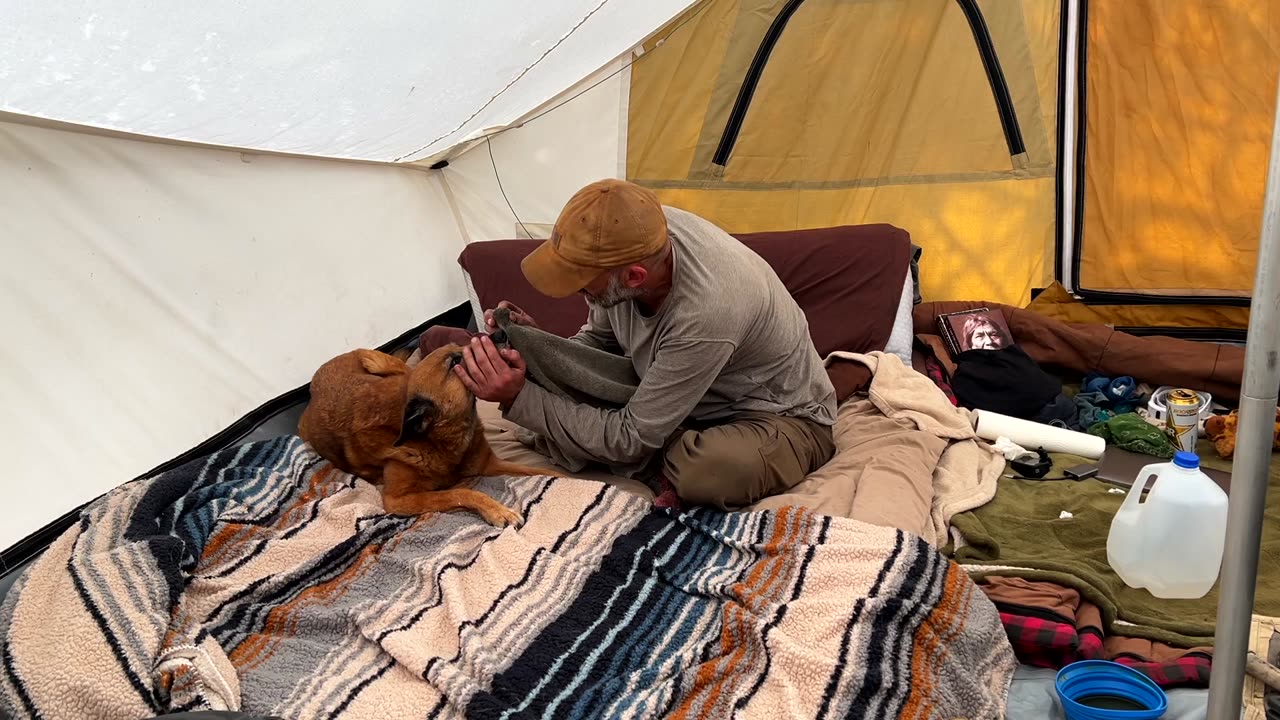 Winter Camping With My Dog, Hot Tent Camp Established (INSANE VIEWS)