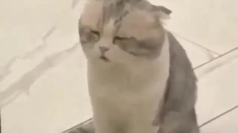 cuando intentas dormir y te interrumpen