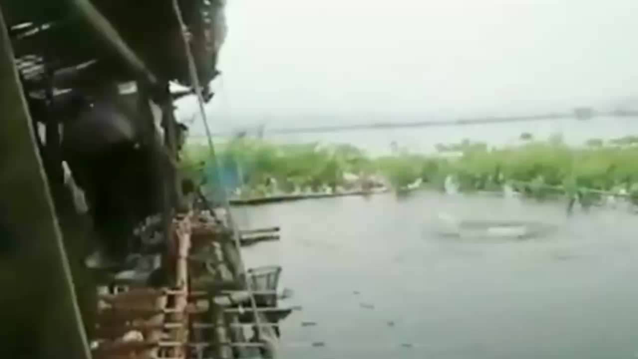 funny incident while fishing in the river