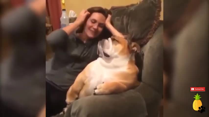 COMPILATION WITH THE BEST AND FUNNIEST DOGS