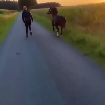 Andar correr estrada amigos