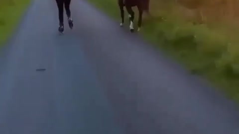 Andar correr estrada amigos